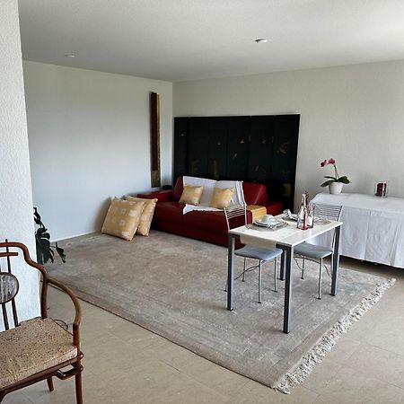 Lakeview Apartment-Lavaux Grandvaux Esterno foto